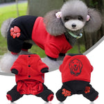 Small Dog Cartoon Bear Coat