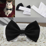 Cat Bow Necktie Collar for Small Kittens