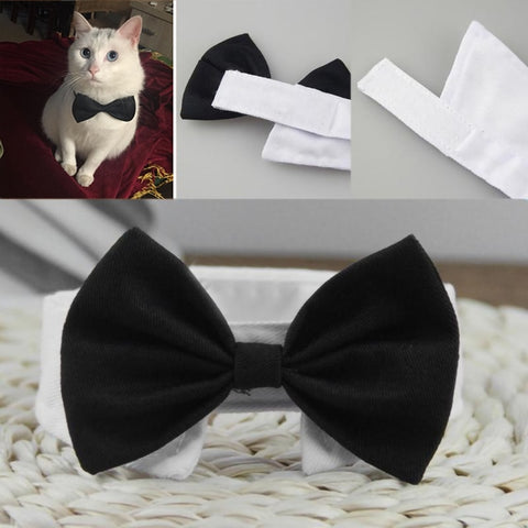 Cat Bow Necktie Collar for Small Kittens