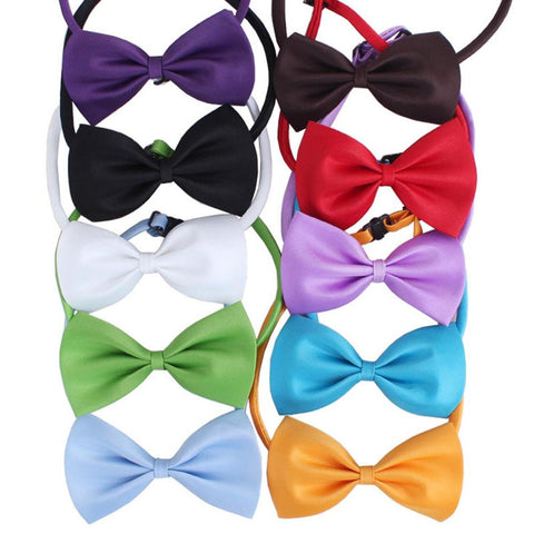 Cat Bow Tie Collar for Small and Medium Cats