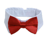 Cat Bow Necktie Collar for Small Kittens