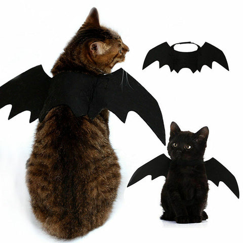 Cat Halloween Bat Wings Costume