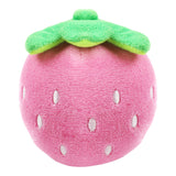 Creative Cartoon Bite-Resistant Cat Chew Toy