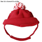 Dog Halloween Hat Winter And Fall