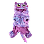 Flying Dragon Halloween Dog Costume