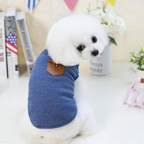 Solid Color Puppy Shirt Chihuahua