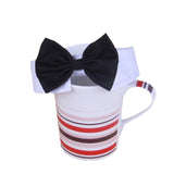 Cat Bow Necktie Collar for Small Kittens