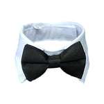 Cat Bow Necktie Collar for Small Kittens