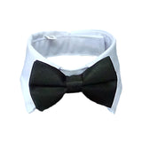 Cat Bow Necktie Collar for Small Kittens