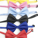 Cat Bow Necktie Collar for Small Kittens